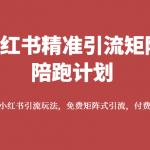 小红书精准引流矩阵陪跑计划，系统学习小红书引流玩法，免费矩阵式引流，付费投流广告