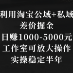 （8952期）利用淘宝公域+私域差价掘金，日赚1000-5000元，工作室可放大操作，实操…