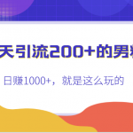 一天引流200+的男粉，日赚1000+，就是这么玩的