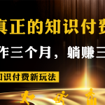 知识付费新玩法，真正的知识付费操作三个月，躺赚三年