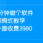 1分钟做个软件  有人靠这个已经赚100W 保姆式教学  外面收费3980