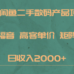 最新闲鱼二手数码赛道，小白福音，高客单价，矩阵操作，日收入2000+