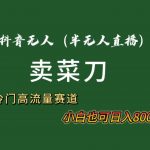 （8902期）抖音无人（半无人）直播卖菜刀日入800+！冷门品流量大，全套教程+软件！