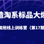 打造淘系标品大爆款引流班线上训练营（第17期）5天直播授课+1个月答疑