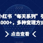 流量密码，小红书“每天系列”引流，日引流1000+，多种变现方式【揭秘】