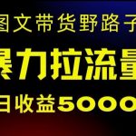 抖音图文带货暴力起号，单日收益5000+，野路子玩法，简单易上手，一部手机即可【揭秘】