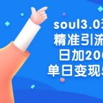 （8885期）soul3.0玩法精准引流s粉，日加200人单日变现500+