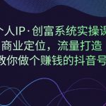 个人IP·创富系统实操课：商业定位，流量打造，教你做个赚钱的抖音号