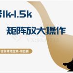 十万个富翁修炼宝典15.单号1k-1.5k，矩阵放大操作