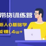 （8841期）AI图文带货训练营：抖音电商新人0基础学，几张图文能赚1.4w+