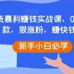 抖音带货暴利赚钱实战课，0基础做爆款，狠涨粉，赚快钱