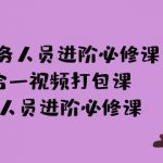 AI + 财务人员进阶必修课二合一视频打包课，财务人员进阶必修课