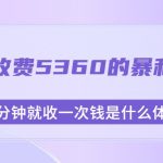 外面收费5360的暴利项目，几分钟就收一次钱是什么体验，附素材