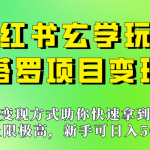 新手也能日入500的玩法，上限极高，小红书玄学玩法，塔罗项目变现大揭秘！！