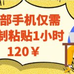 一部手机仅需复制粘贴1小时120￥