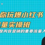 5天带你玩爆小红书流量实操班，小红书种草是内容营销的重要流量入口