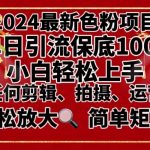 （8783期）2024最新换脸项目，小白轻松上手，单号单月变现3W＋，可批量矩阵操作放大