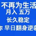 （8780期）2024不再为生活烦恼 月入5W 长久稳定 让你早日翻身逆袭