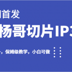 全网首发小杨哥切片IP3.0，日入500+，保姆级教学，小白可做