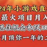 （8778期）2024年寒假爆火项目，小游戏直播月入20w+，学会了之后你将翻身