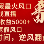 （8766期）2024年最火寒假风口项目 小游戏直播 单场收益5000+抓住风口 一个月直接提车