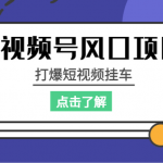 视频号风口项目，打爆短视频挂车