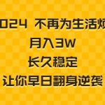 （8757期）2024不再为生活烦恼 月入3W 长久稳定 让你早日翻身逆袭