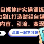 自媒体IP实操训练，从0到1打造财经自媒体，打通内容、引流、变现闭环