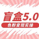 盲盒交友变现5.0（色粉变现）日入500+