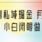 靠短剧私域掘金 月入5W 小白闭眼做（教程+2T资料）