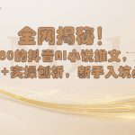 （8719期）全网揭秘！抖音AI小说推文，超详细教程+实操刨析，新手入坑必看