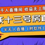 （8711期）爆火飞跃十三号房半无人直播，一场直播上千人，日入过万！（附软件）