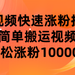 短视频平台快速涨粉技巧，简单搬运视频，轻松涨粉10000+