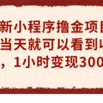 最新小程序撸金项目，当天就可以看到收益，1小时变现300+