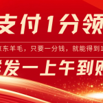 （8678期）京东支付1分得16元实操到账200