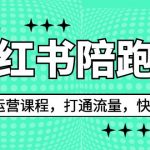 2023小红书陪跑营流量运营课程，打通流量，快速起号（26节课）