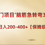 （8665期）冷门项目‘脑筋急转弯3.0’轻松日入200-400+【保姆级教程】