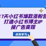 17天 小红书爆款 涨粉营（广告变现方向）打造小红书博主IP、接广告变现