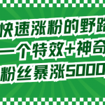 （8606期）两个快速涨粉的野路子，一个特效+神奇布偶，粉丝暴涨5000起！