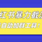 （8580期）小红书截流引流大法，简单无脑粗暴，日引20-30个高质量创业粉（送自动加…