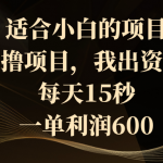 （8571期）适合小白的项目，0撸项目，我出资金，每天15秒，一单利润600