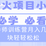 （8569期）导师训练营互联网最牛逼的项目没有之一，新手小白必学，月入2万+轻轻松松