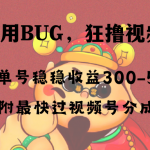 （8549期）全网独家首发，视频号BUG，超短期项目，单号每日净收益300-5000！