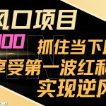 （8521期）最新风口项目，日入过千，抓住当下风口，享受第一波红利，实现逆风翻盘