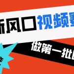 （8519期）2024新风口视频赛道 做第一批吃螃蟹的人 10分钟一条原创视频 小白无脑操作1