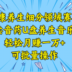 （8503期）健康养生细分领域赛道，卖音药U盘养生音乐，轻松月赚一万+，可批量操作