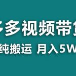 （8491期）【蓝海项目】拼多多视频带货 纯搬运一个月搞了5w佣金，小白也能操作 送工具