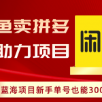 （8452期）闲鱼卖拼多多助力项目，蓝海项目新手单号也能300+