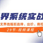 （8446期）无界系统实战课，全体系·落地无界改版后选择、出价、高投产做付费引流