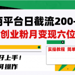 （8397期）电商平台日截流200+付费创业粉，月变现六位数简单好上手！